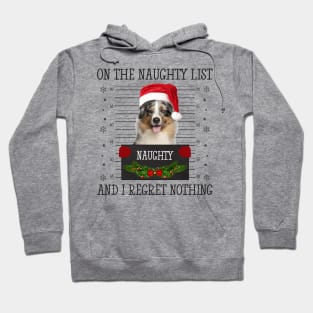 On The Naughty List, And I Regret Nothing Hoodie